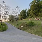Un Pied Devant L'autre