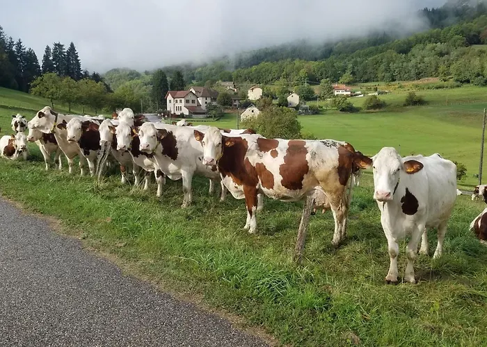 Un Pied Devant L'autre
