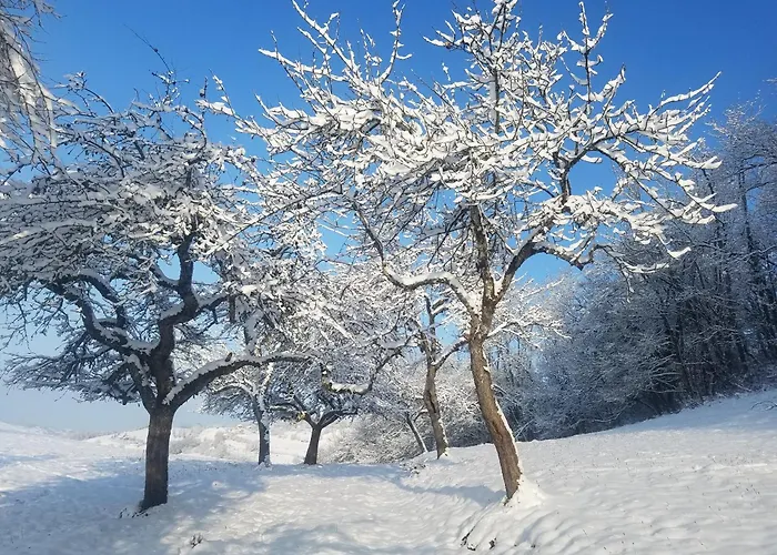 Διαμέρισμα Un Pied Devant L'autre Sainte-Marie-D'Alvey