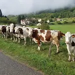 Un Pied Devant L'autre