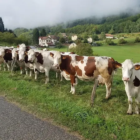 Un Pied Devant L'autre